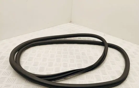 Peugeot 5008 II Rear door rubber seal (on body) 