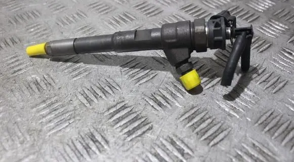 Renault Kangoo II Fuel injector 0445110652