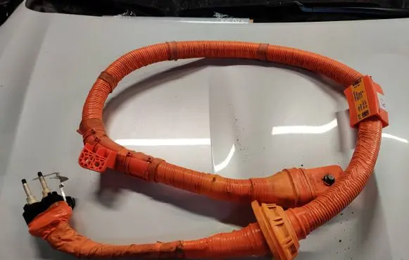 KIA EV6 Other wiring loom 91981CV810