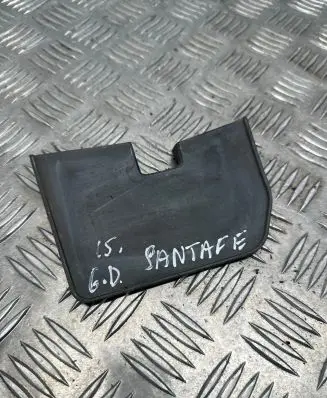Hyundai Santa Fe Rear mudguard 