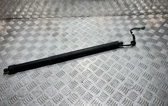 Opel Grandland X Tailgate strut 9828629680