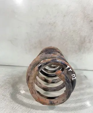 Rear coil spring