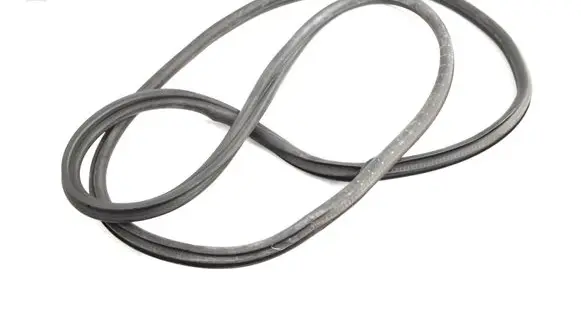 Citroen C4 II Picasso Rubber seal front door (on door) 