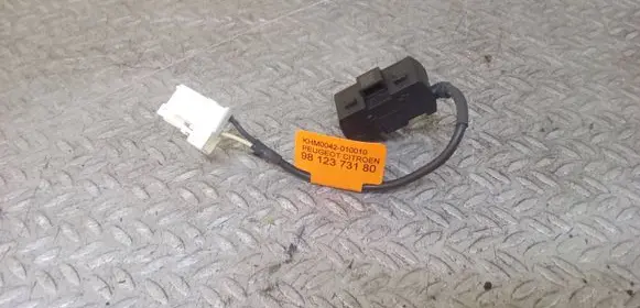 Peugeot 208 I Microphone (bluetooth/phone) 9812373180