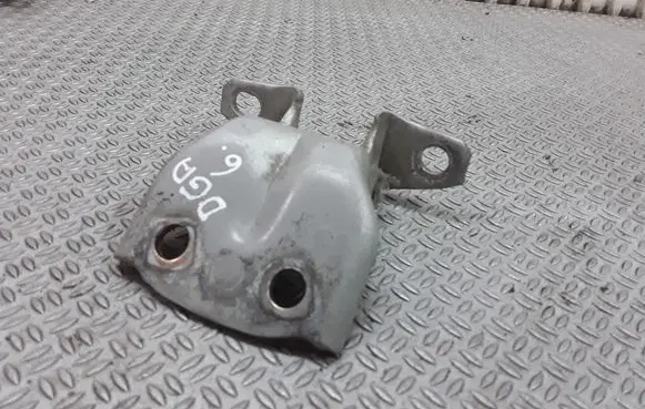 Hyundai Santa Fe Rear door lower hinge