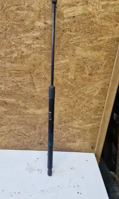 Opel Insignia A Tailgate/trunk strut/damper 315005777 N192715
