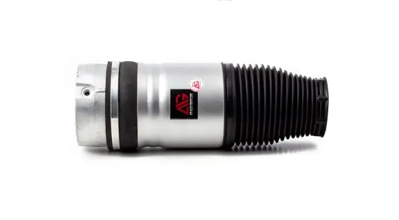Porsche Cayenne (9PA) Rear shock absorber/damper 7L6616503 95533303321 95535801902