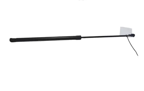 Tailgate strut