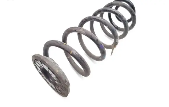 Rear coil spring