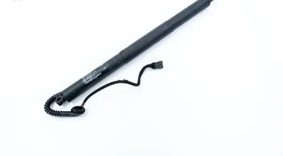 Tailgate/trunk strut/damper