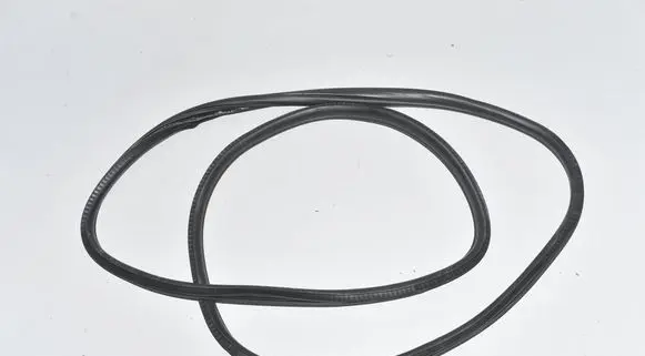 BMW 2 F46 Rear door rubber seal (on body) 7420056 51727420056