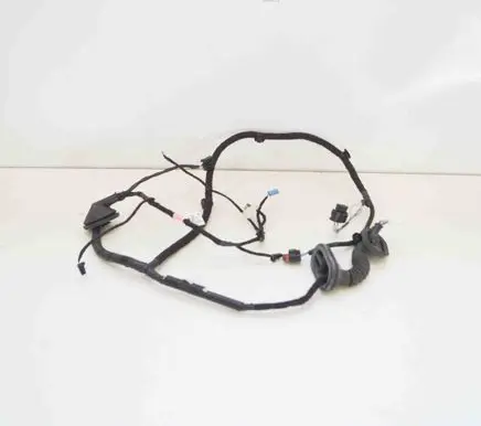 Tesla Model 3 Rear door wiring loom 206796500A