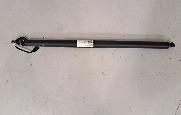 Tailgate/trunk strut/damper