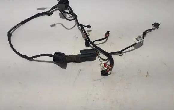 Other wiring loom