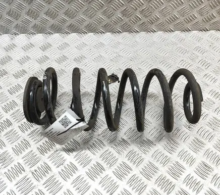 Cadillac Escalade Rear coil spring 22868629