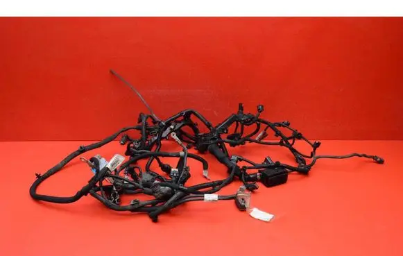 Jaguar XJ X308 Other wiring loom 9829002080