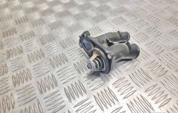 Thermostat/thermostat housing