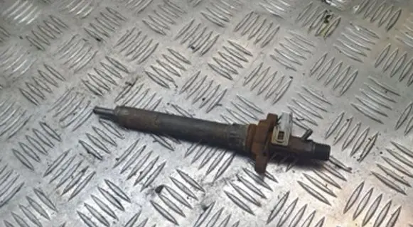 Citroen C4 I Fuel injector EJBR06001D 9688438580
