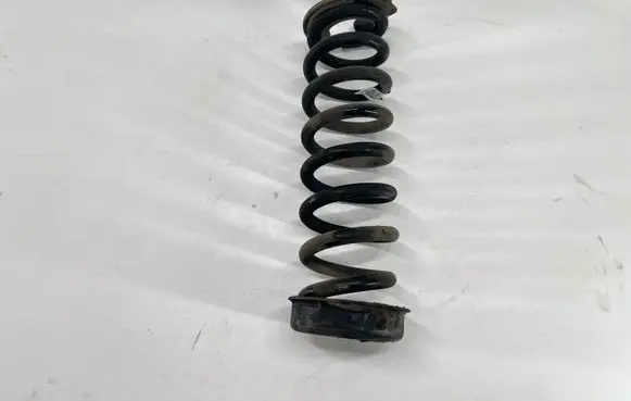 Rear coil spring