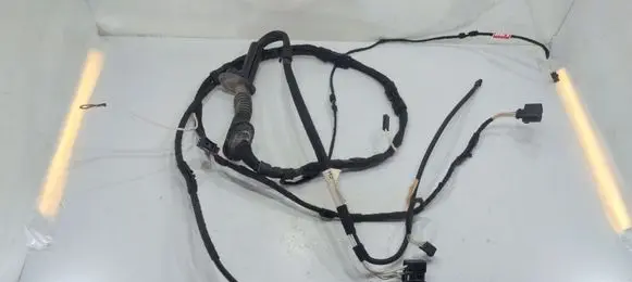 Volkswagen PASSAT B7 Tailgate/trunk wiring harness 3AF971148A