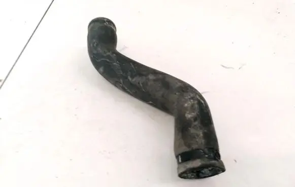 Nissan Almera Tino Engine coolant pipe/hose