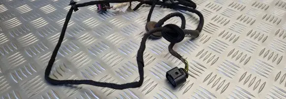 Volkswagen Golf IV Front door wiring loom 1J0971121BA