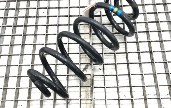 Rear coil spring