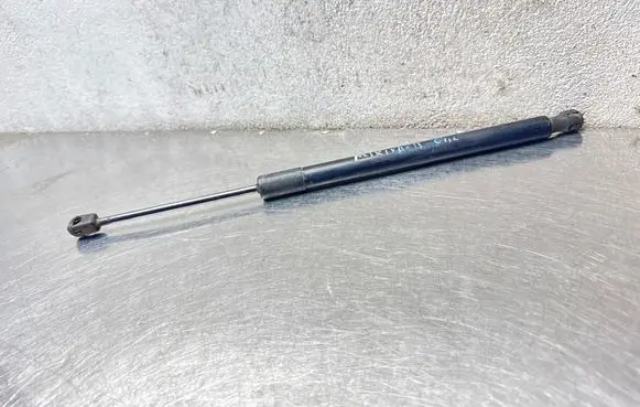 Opel Meriva B Tailgate/trunk strut/damper 315005777 0306280700N