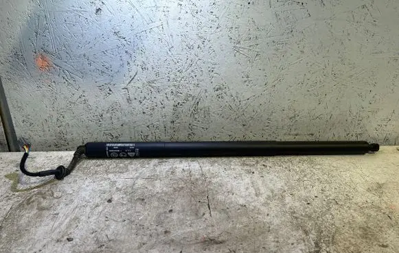 Ford Puma Tailgate/trunk strut/damper L1TBS404C84AB
