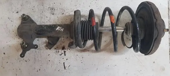 Nissan Primera Front shock absorber with coil spring