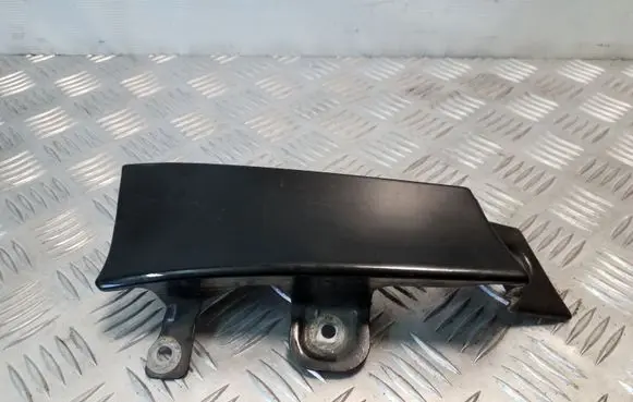 Rear/tail light trim molding