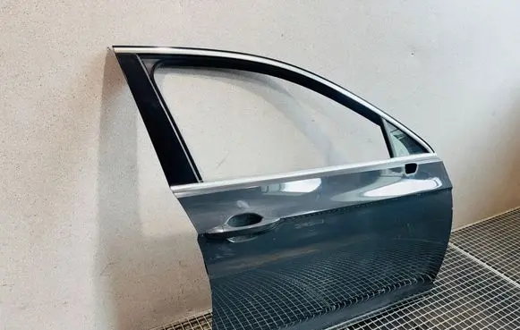 Volkswagen PASSAT B8 Front door 