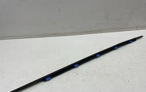 KIA Niro Rear door glass trim molding