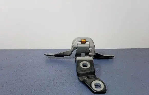 Tailgate/trunk/boot hinge