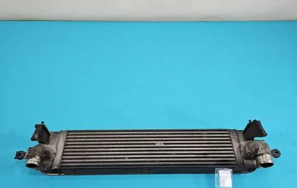 Intercooler radiator
