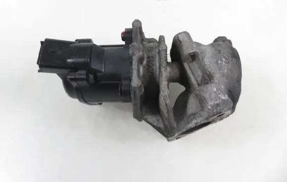 EGR valve