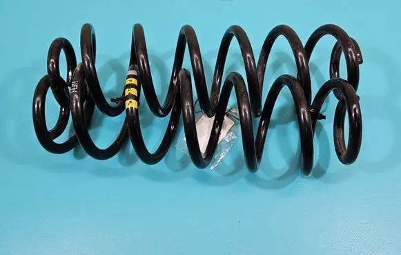 Rear coil spring