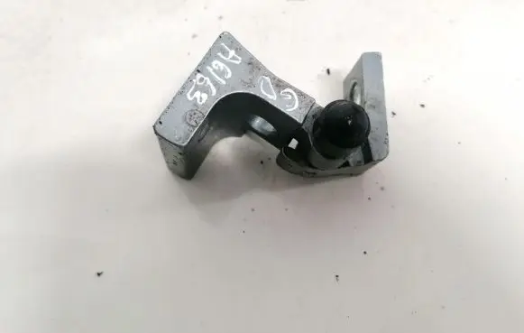 Rear door lower hinge