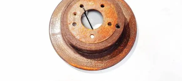 Rear brake disc
