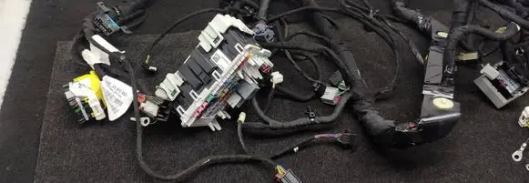 Other wiring loom