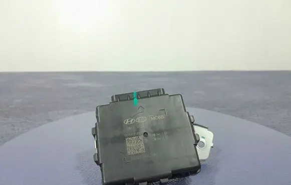 KIA Optima Other control units/modules 96880D4000