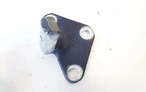 Rear door lower hinge