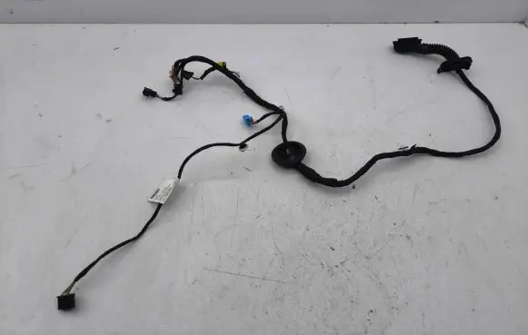 Front door wiring loom