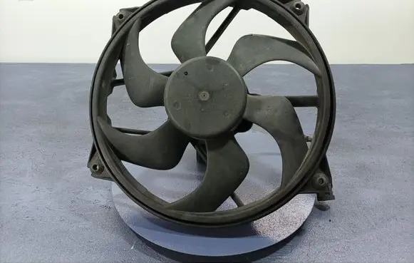 Citroen C4 I Electric radiator cooling fan 1831294116