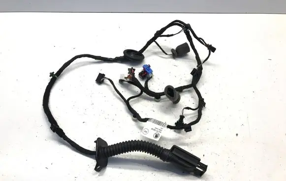 Skoda Enyaq iV Rear wire harness sleeve 5LA971693BF
