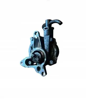 Renault Trafic III (X82) Vacuum pump 146503760R
