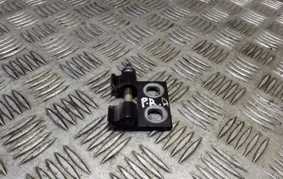 BMW X1 E84 Front door lower hinge 