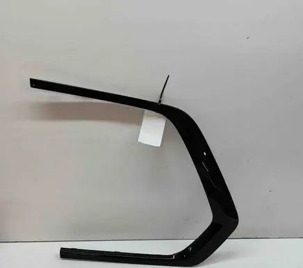 Rear fender molding trim