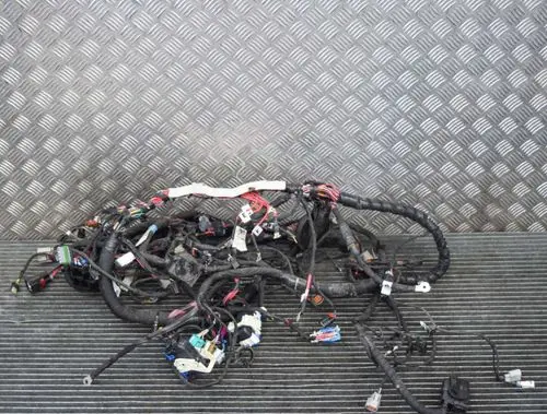 Tesla Model S Other wiring loom 112976000A