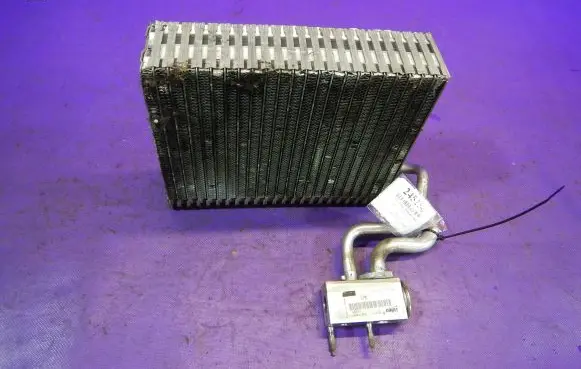 Citroen C3 Air conditioning (A/C) radiator (interior) 665406R-G